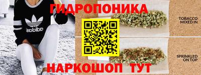 молекула духа Бузулук