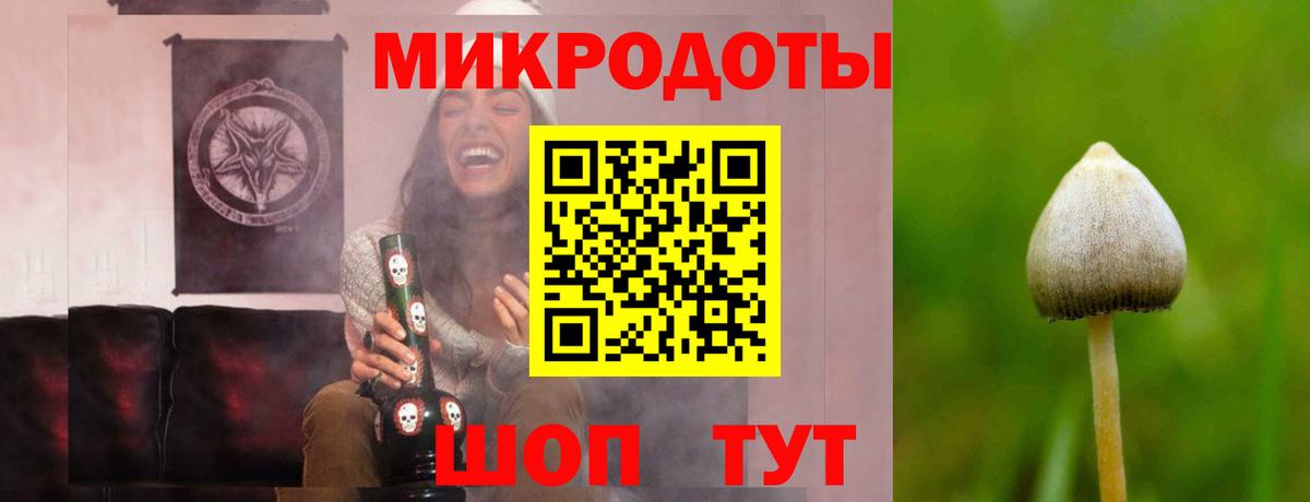 Химки  Псилоцибиновые грибы Magic Shrooms  Вход с VPN 